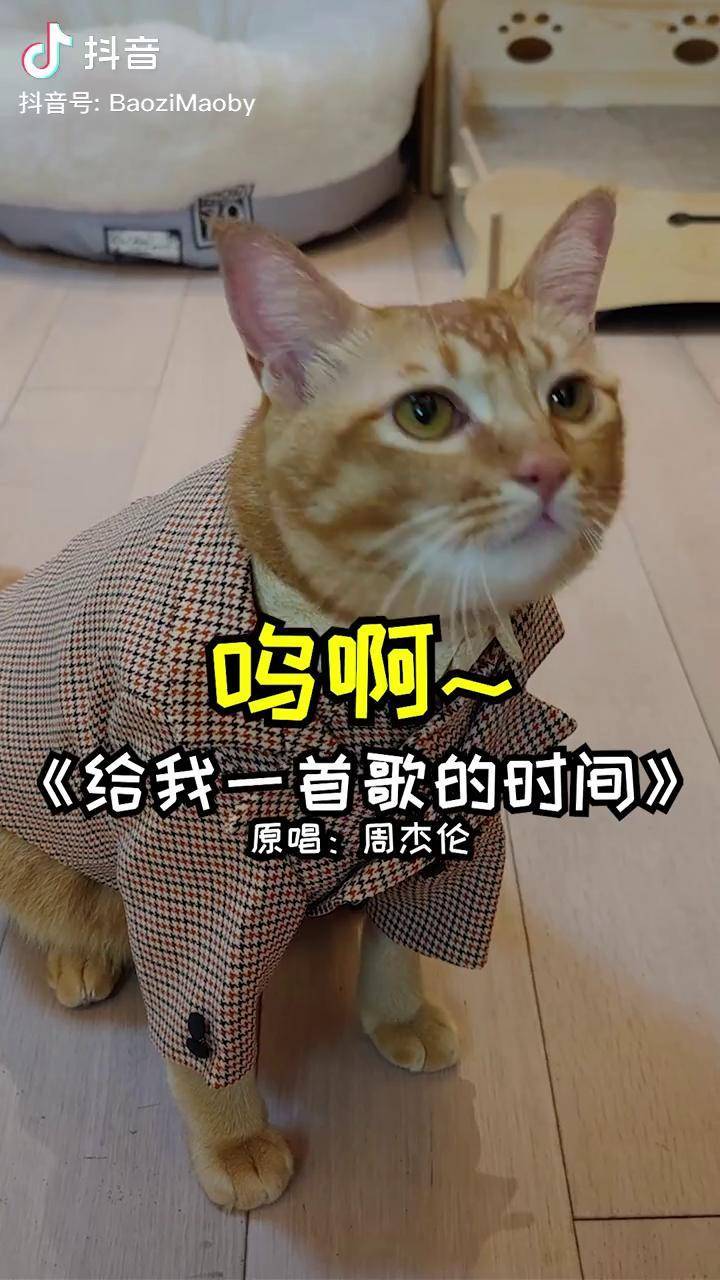 高一首抖音=2018年抖音高中生唱火的英文歌