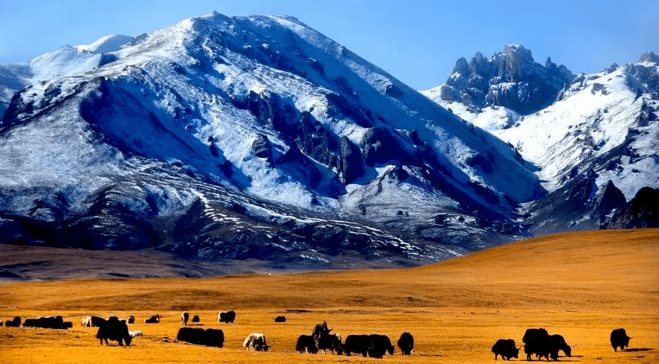 家园·海西_产业_柴达木盆地_青藏高原