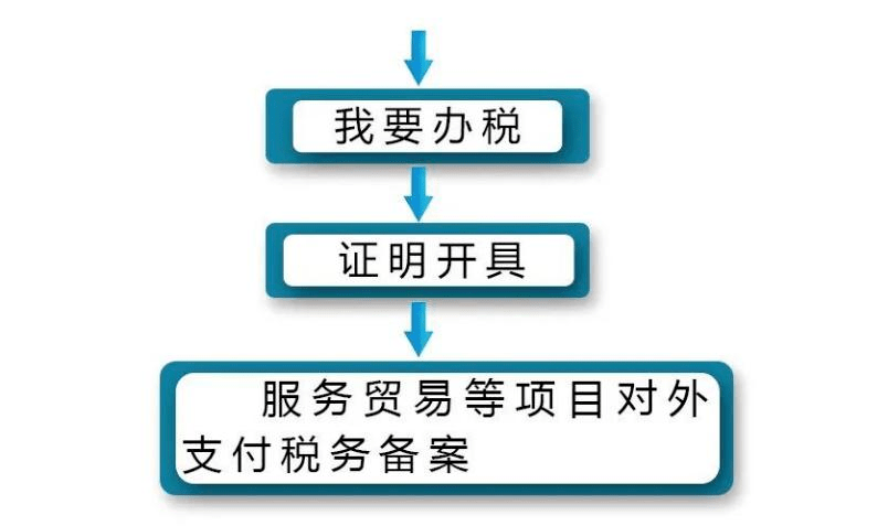 对外支付税务备案_税务备案对外支付怎么操作_对外支付税务备案