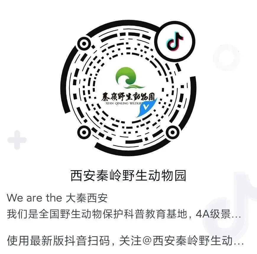 玉兔献瑞·百兽狂欢 西安秦岭野生动物园精彩预告来啦~_活动_互动_上