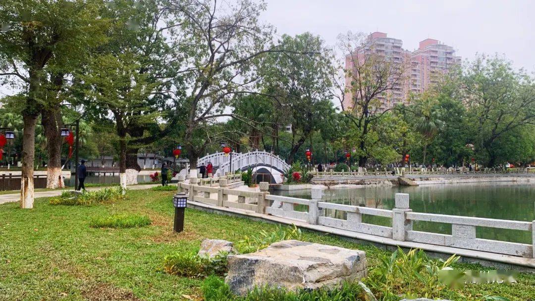 高州潘州公园改造完成对外开放,春节假期必打卡的地方!