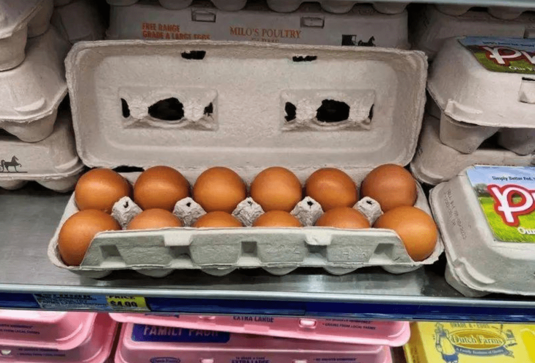 洛杉矶人快吃不起鸡蛋了?原因竟然是._价格_美国农业部_蛋鸡