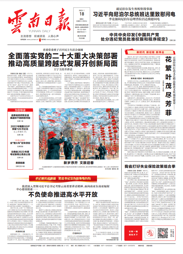 【牢记嘱托启新篇·把总书记交办的事情办好】不负使命推进高水平开放_云南_建设_发展