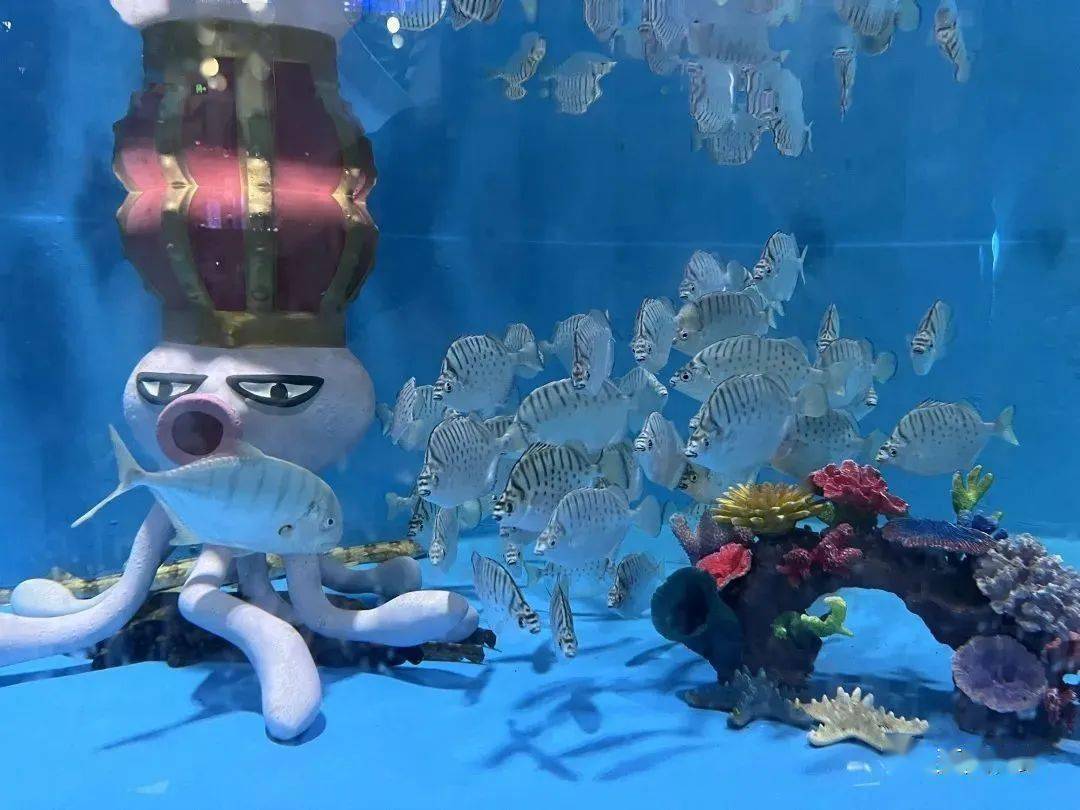 omg海洋部落,亚奥家门口的超大水族馆,快来玩!_活动_区域_带回家