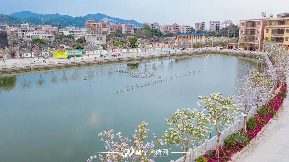 普宁市云落镇2022年悄然迎来新变化_道路_建设_产业