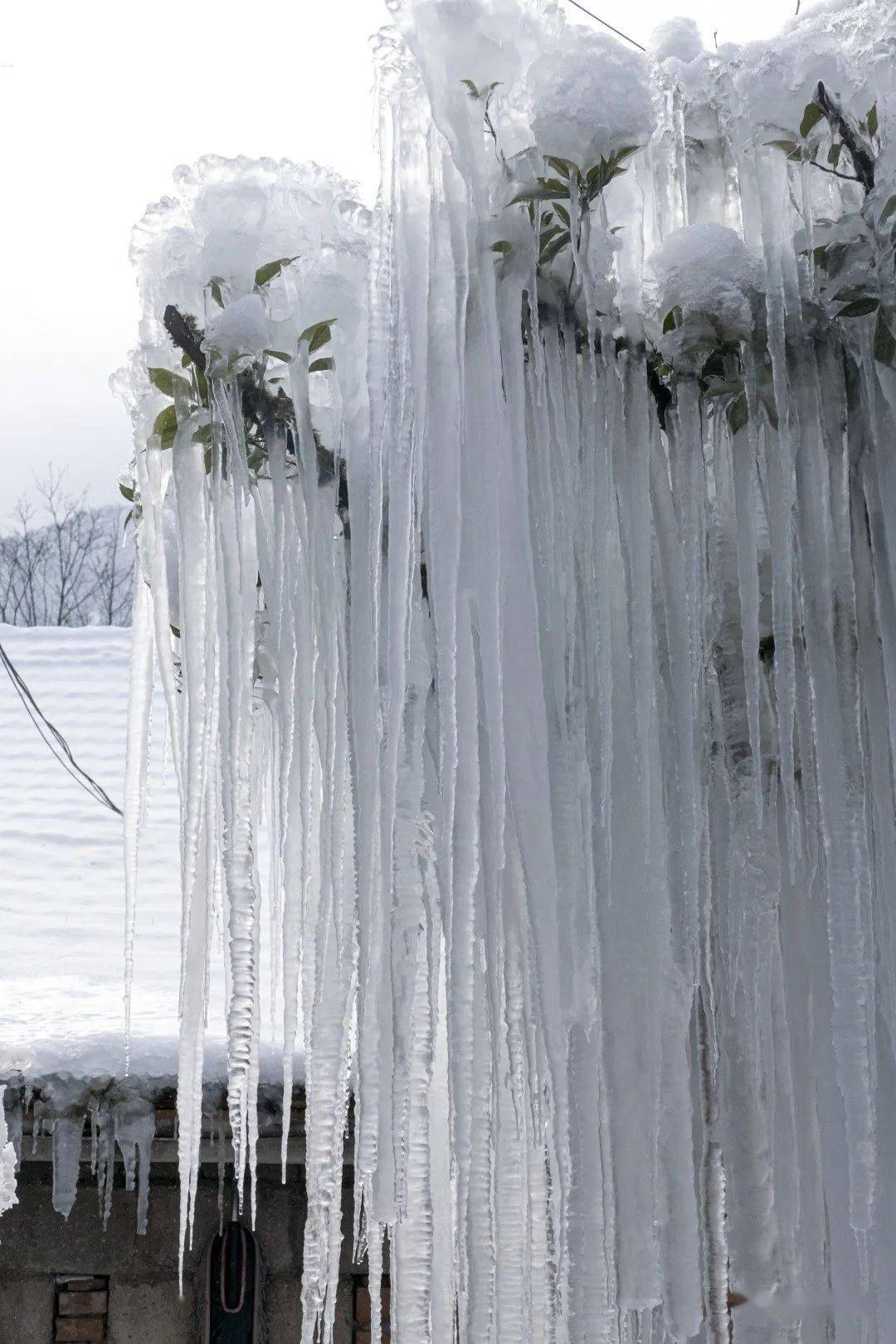 崇州琉璃"雪乡","冰凌子花"浪漫绽放_全攻略_利剑_水晶