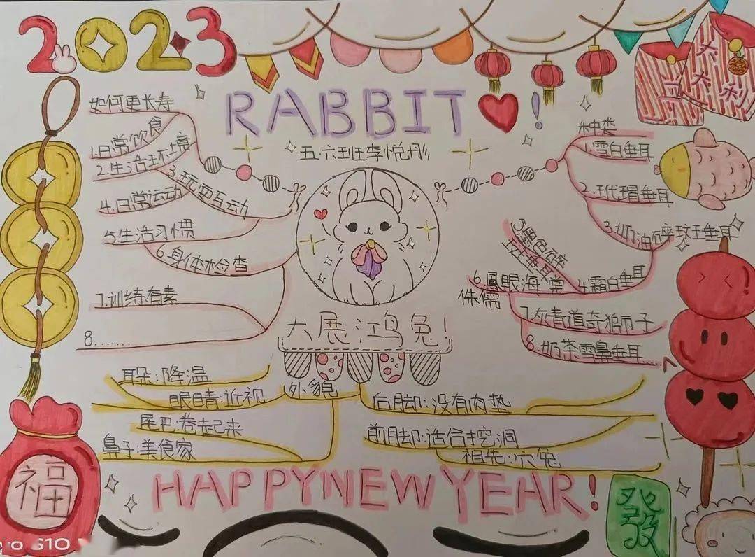 手抄报,思维导图等形式,向大家展示了一只只活泼可爱,乖巧灵动的兔子