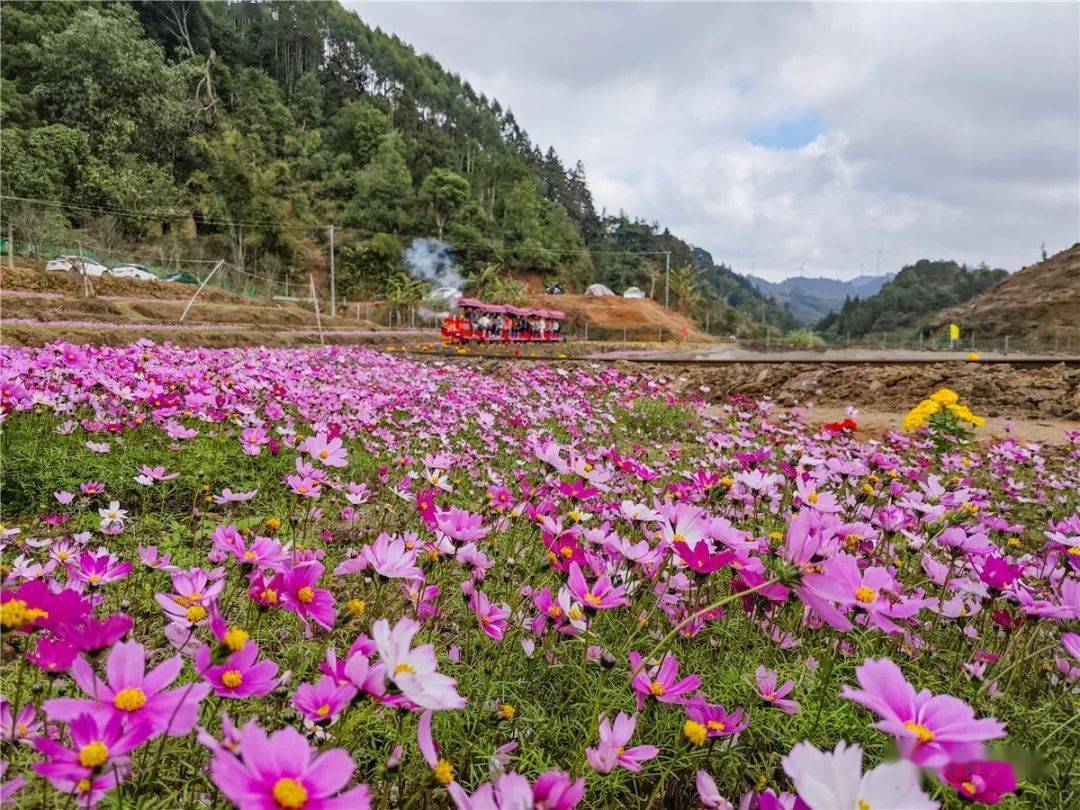 福旺雀儿山旅游风景区不容错过!_景观_浦北_烧烤