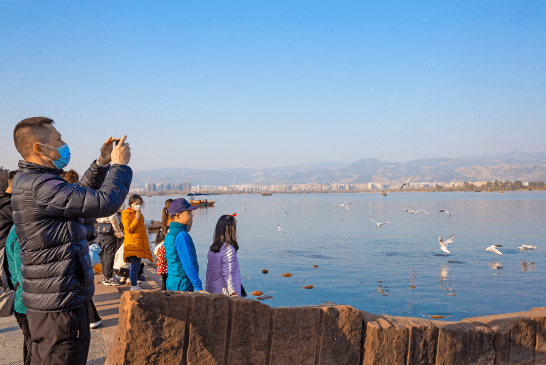 投餵地點:邛海公園,釣魚臺碼頭你確定不來