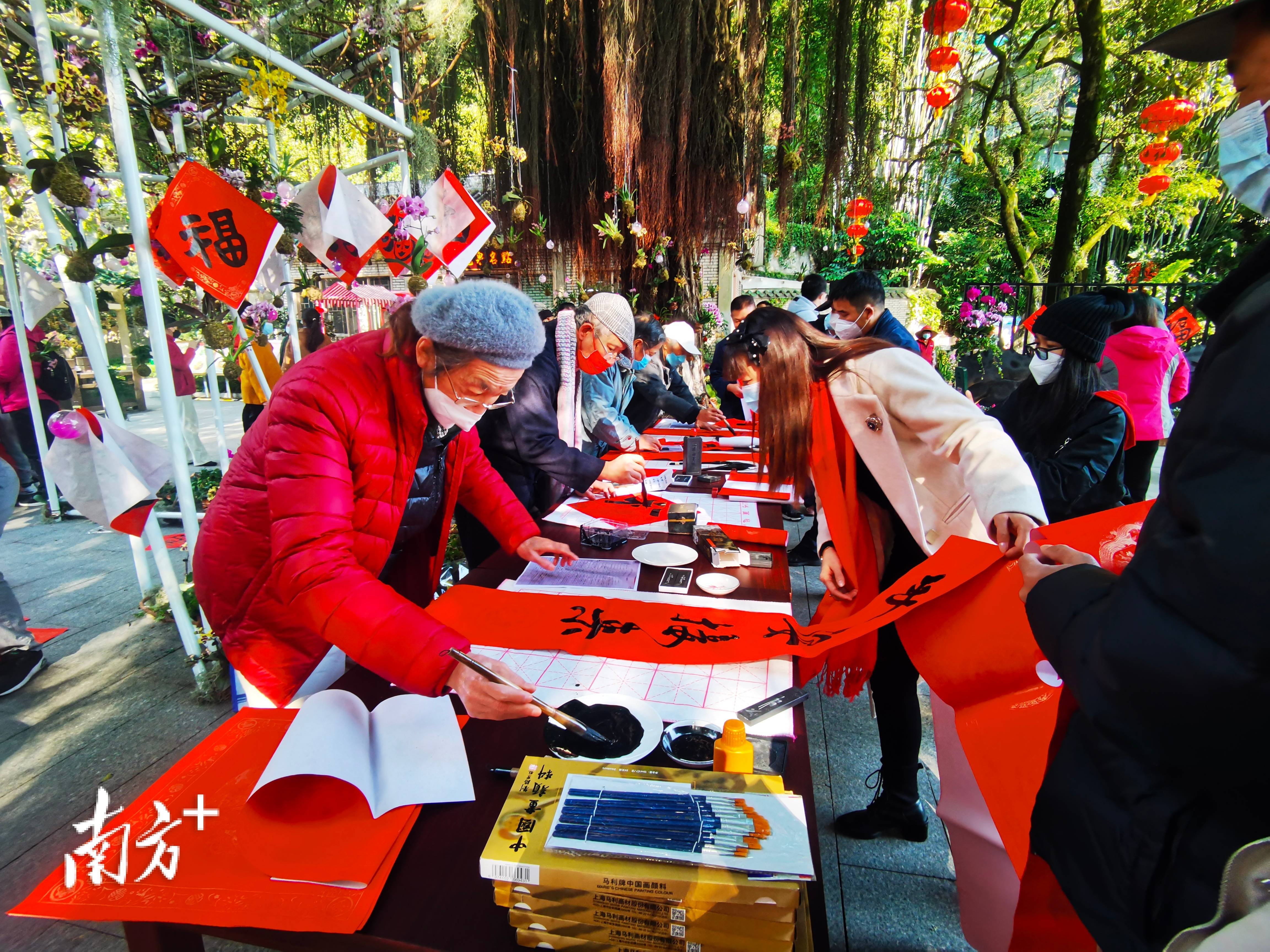 10万株郁金香如约而至白云山，助老广“花”式过年