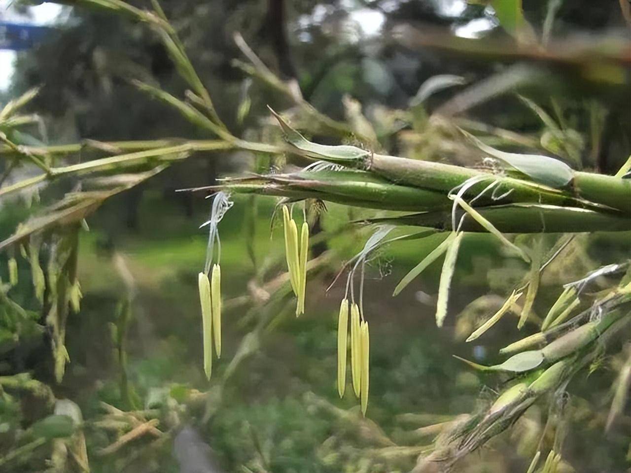 22个动物方面的冷常识，良多都是第一次传闻，看完是实得涨见识