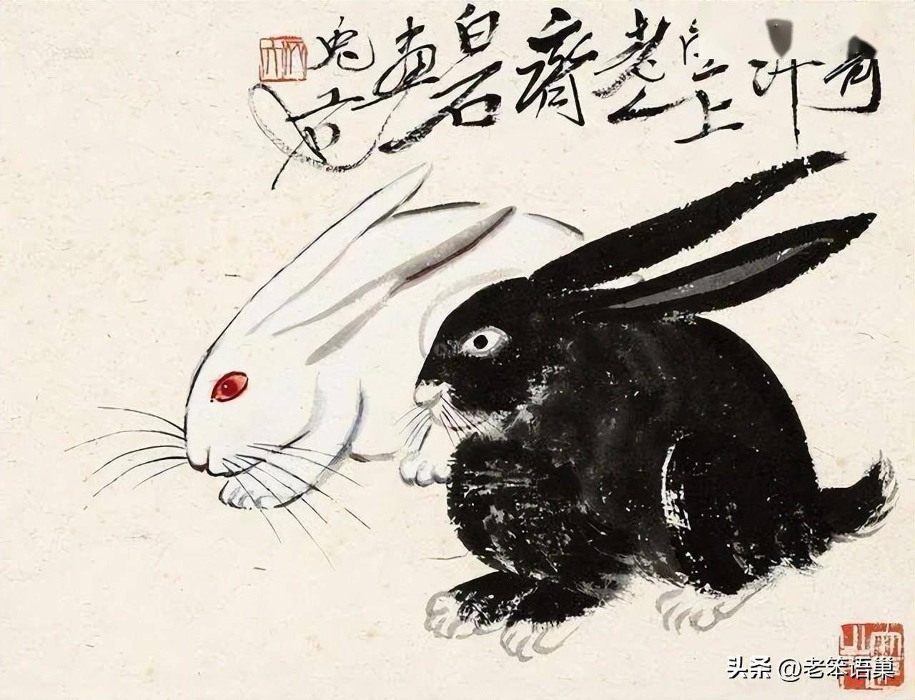 老笨:兔年,想起关于兔子的寓意