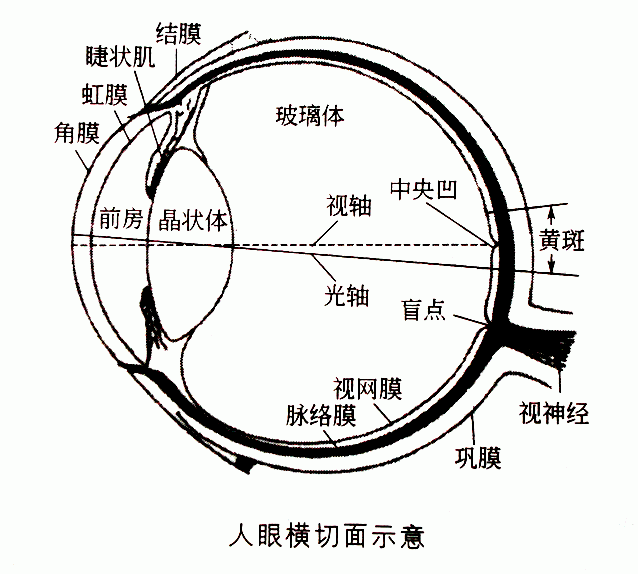 天眼查失信人名单怎么查（天眼查被执行人信息没有了是怎么回事） 第5张