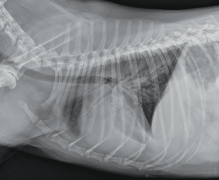 Ȯè��ǻ��Һ�ͷ�ˮ�׵ķ�����ϣ���ˮ�׵�X�����˼�� ...