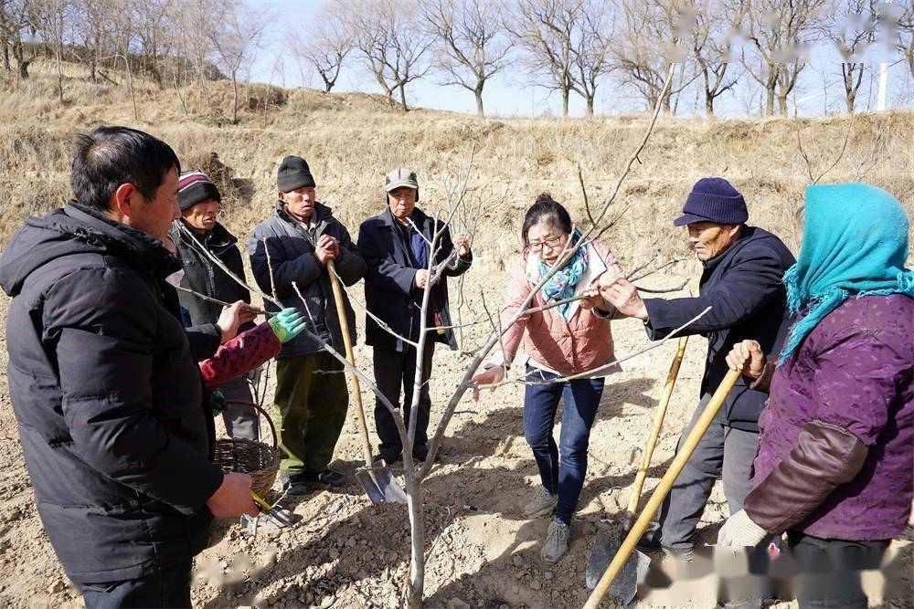【新春走基层】通渭县陇山镇高山村一博士返乡过年为村民做林业科技