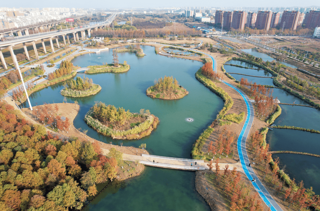 芜湖西湖湿地公园图片