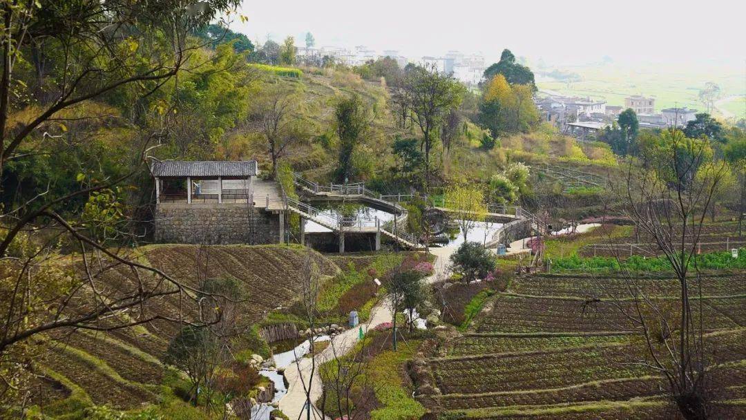 记者了解到,在景区的建设过程中,红岩镇强化规划引领,围绕"道路硬化