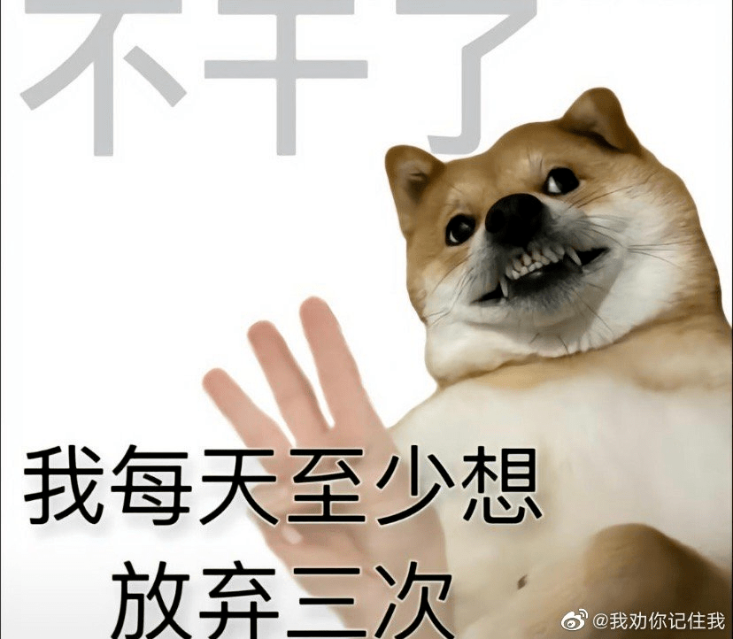 每周一的早上,都是自我反省最深刻的时候:刚解放了两天的灵魂,又被关