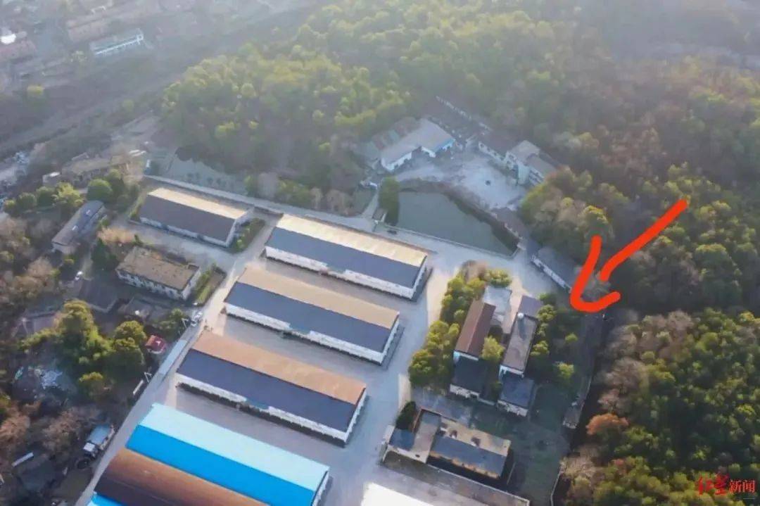 胡鑫宇遗体发现，更多细节披露_Aae_Source