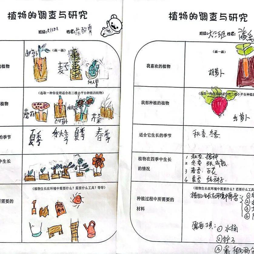 【绿幼微课程】我们的空中花园 ——记小平台创设记