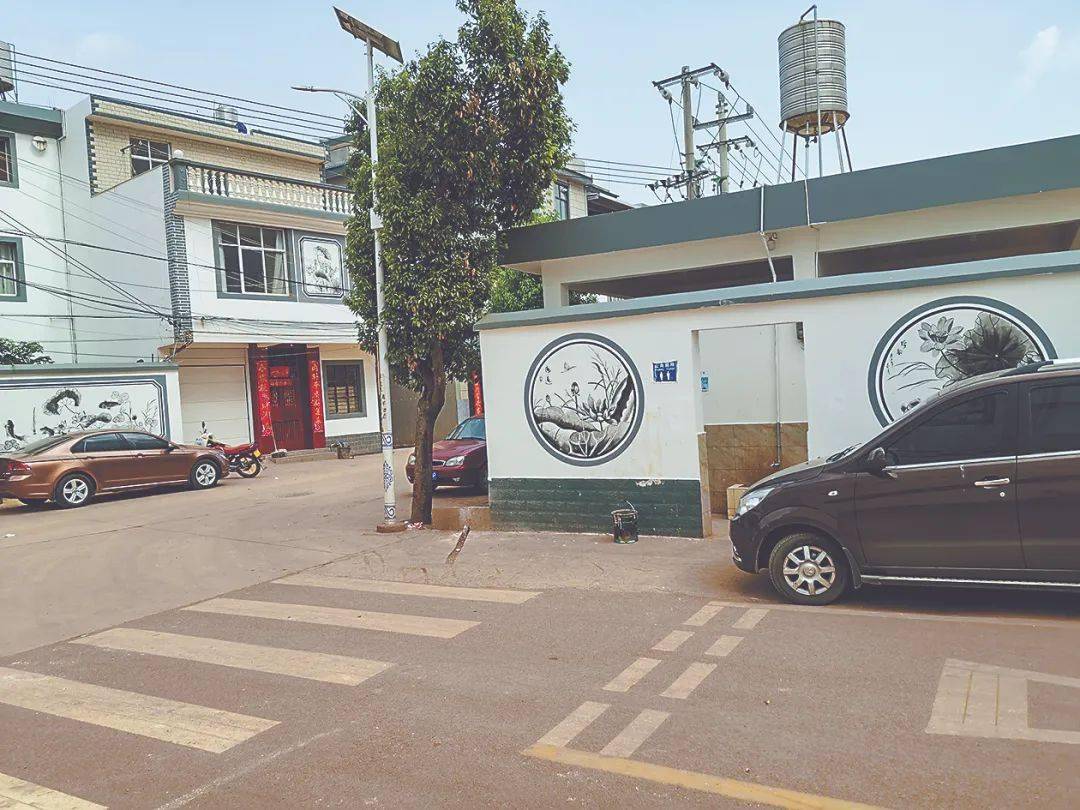 2019年3月,江川区人民政府连续发布《星云湖流域种植结构调整方案》