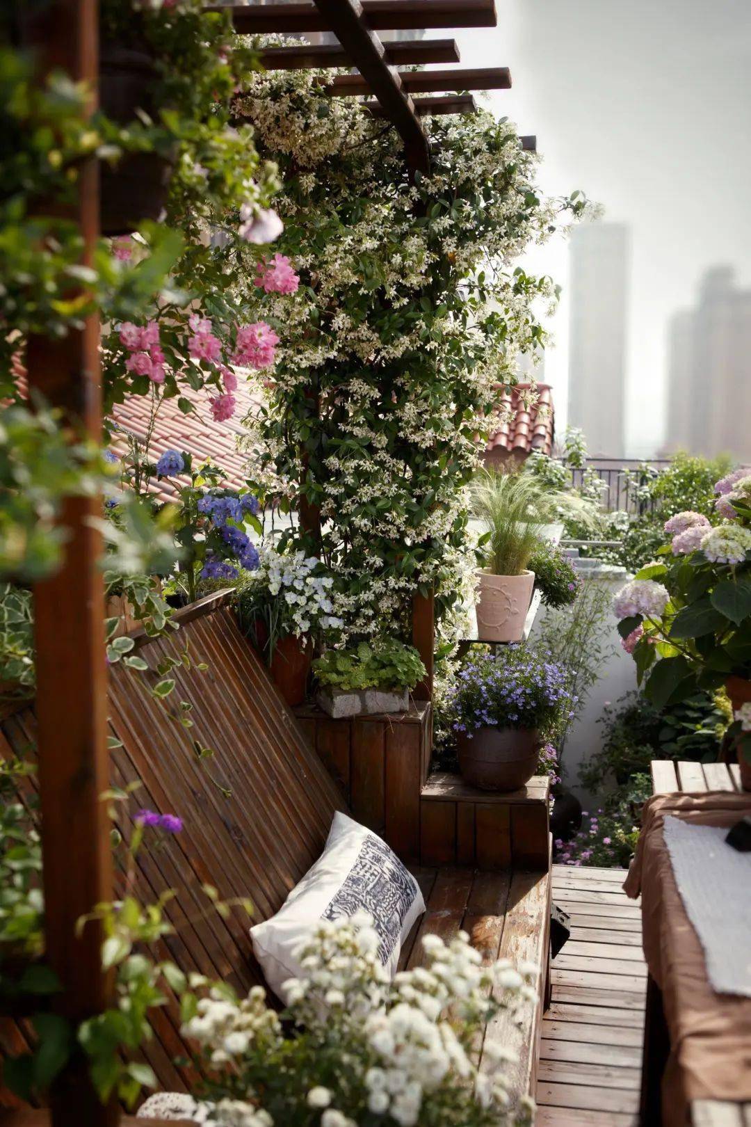 植物_花池_空间