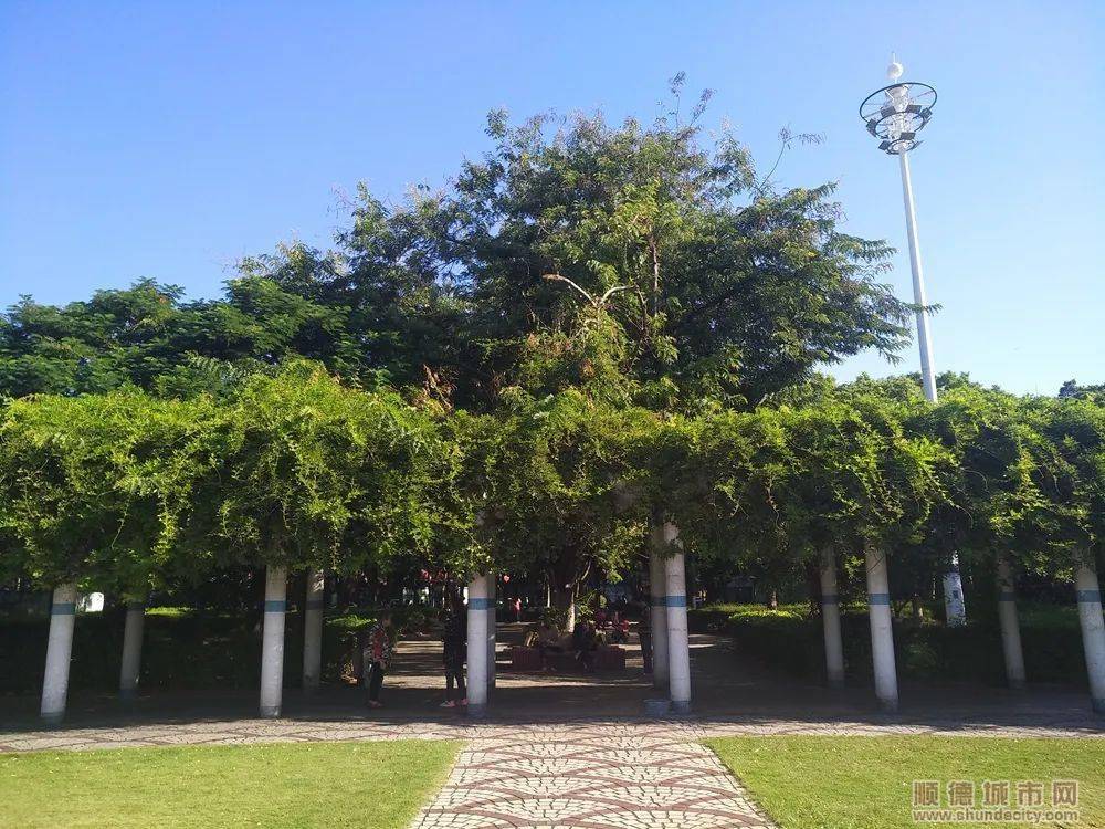 曾经的钟楼公园是什么模样,你还记得吗?_网友_礼堂_顺德