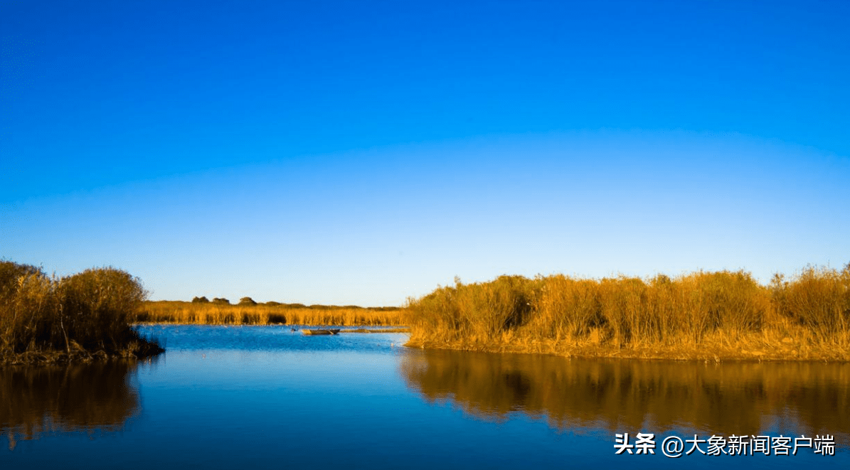 第27个世界湿地日，清点郑州周边湿地公园，一路去吸氧！