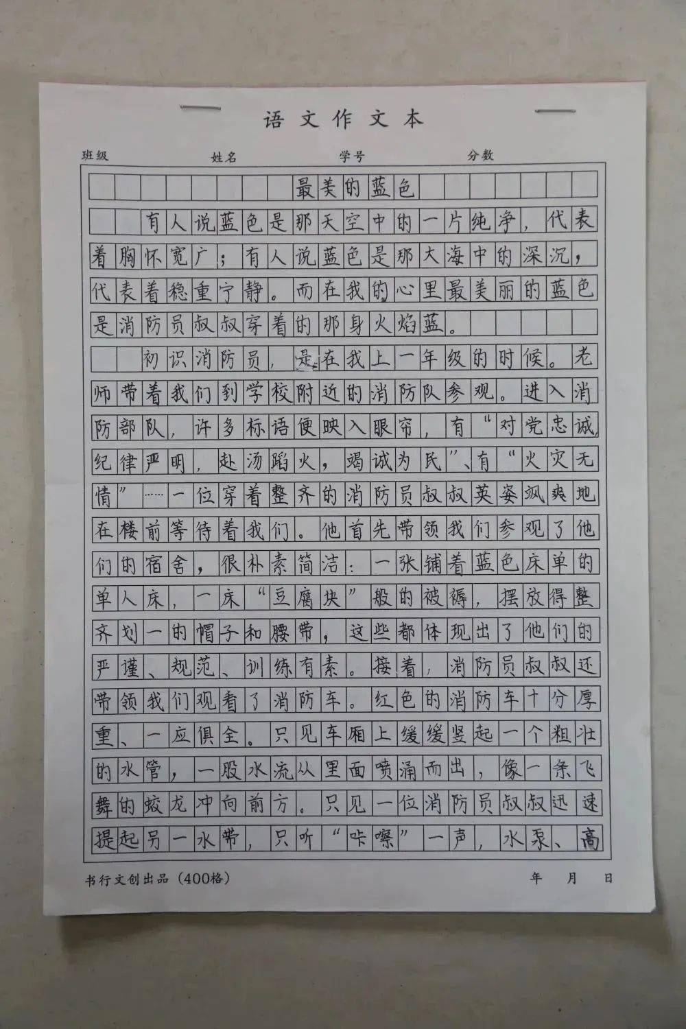 绘画作品介绍300字图片