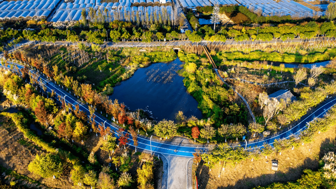 【世界湿地日】走进中国更大城市湿地 感触感染湿地与城市共生之美