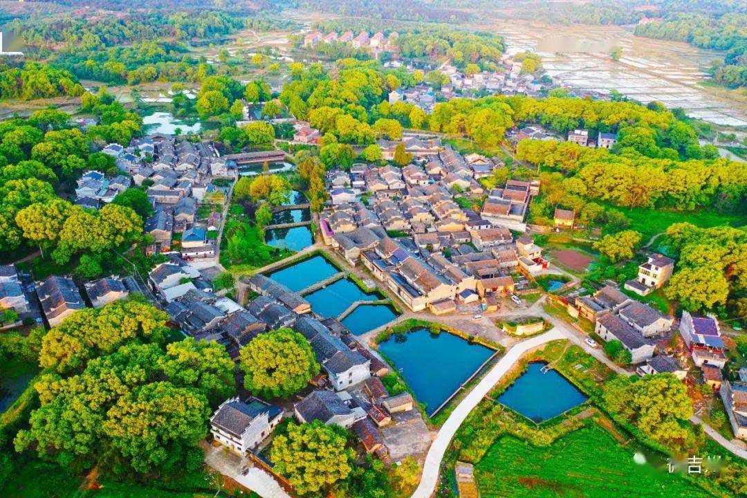 钓源古村等你来打卡~_运营_业态_吉州