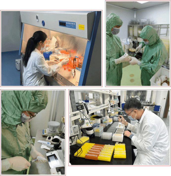 春节不断档，广东省药检所确保21天完成新冠疫苗检验签发