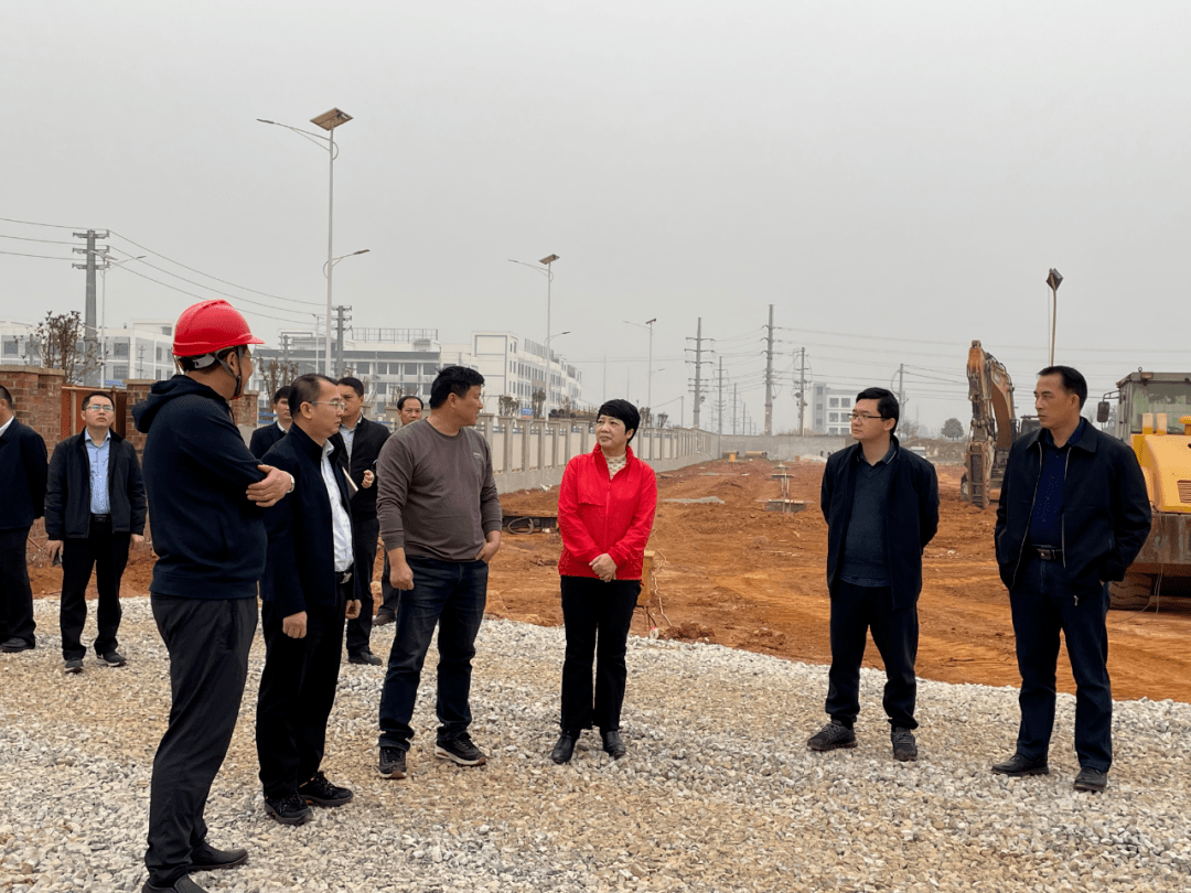 【奋进新征程 建功新时代】李红兰率队到有关企业、项目走访调研_江州区_发展_建设