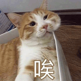 杭州市区中考项目规范完善_杭州市区普通高中名额分配招生调整_2021杭州中考录取分数线