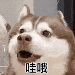 杭州市区中考项目规范完善_2021杭州中考录取分数线_杭州市区普通高中名额分配招生调整