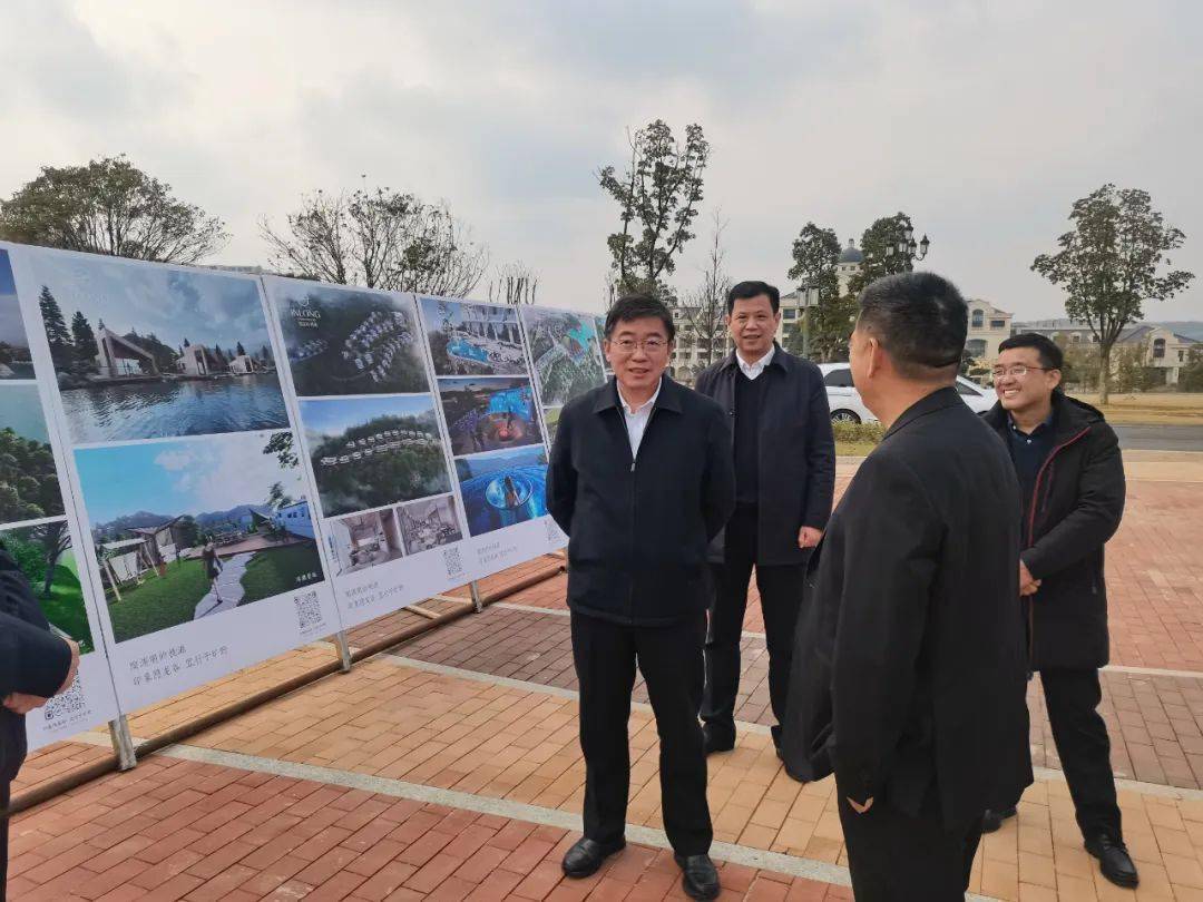 在江苏宜兴市隐龙谷项目现场,在听取公司董事长殷跃伟的情况介绍后