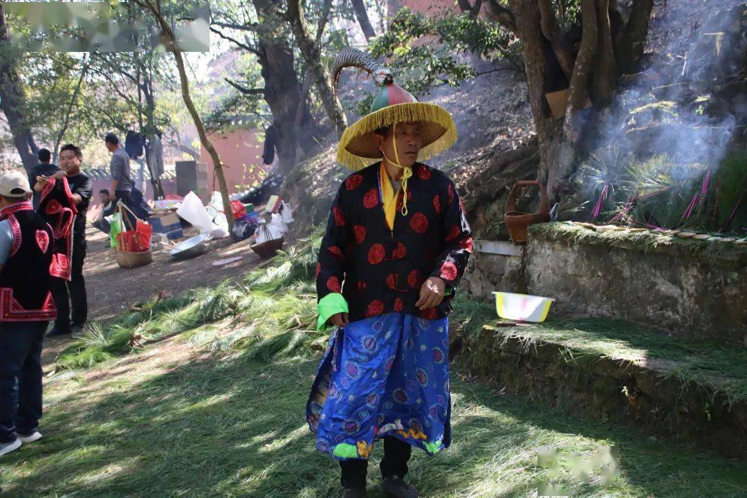民俗文化 | 花腰彝神秘祭龙"咪嘎好"_活动_祭祀_歌舞