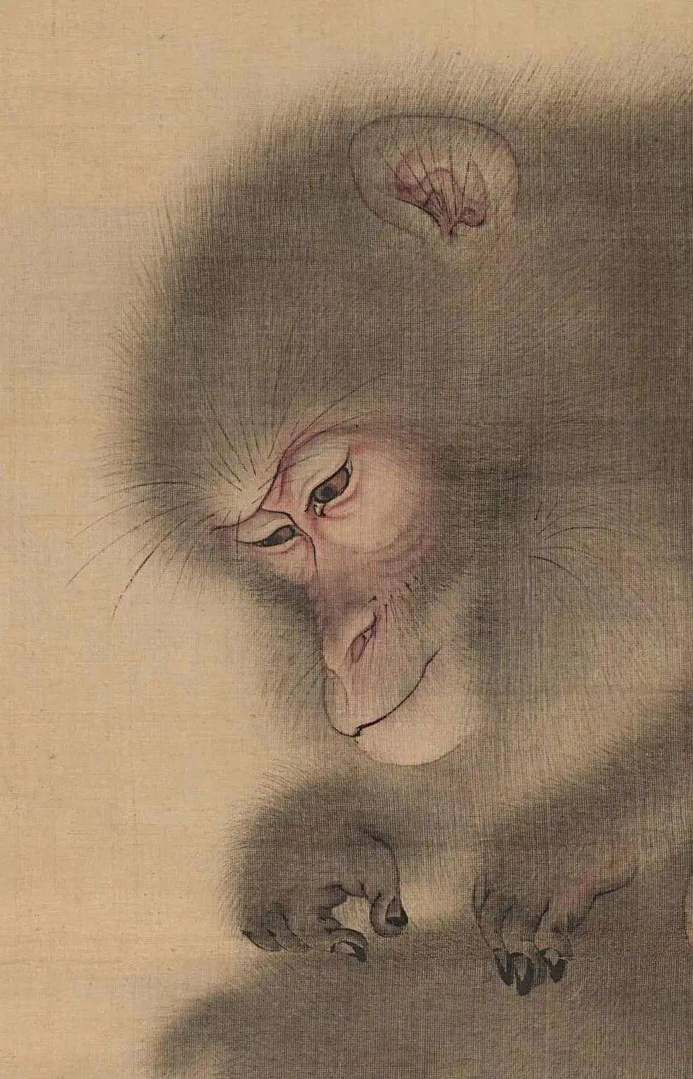 猿猴_作品_古代