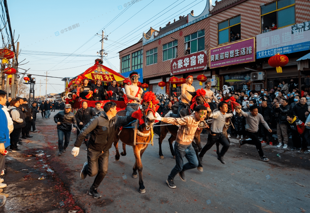 渭南大荔县阿寿村:社火跑骡车闹元宵,传承非遗风采_活动_文革_百姓