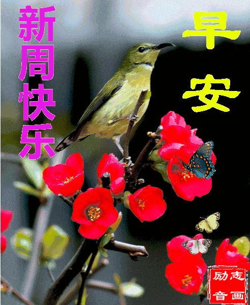 让时间寄去我的思念,让风儿捎去我的牵挂,让远方的我为你祝福,希望你