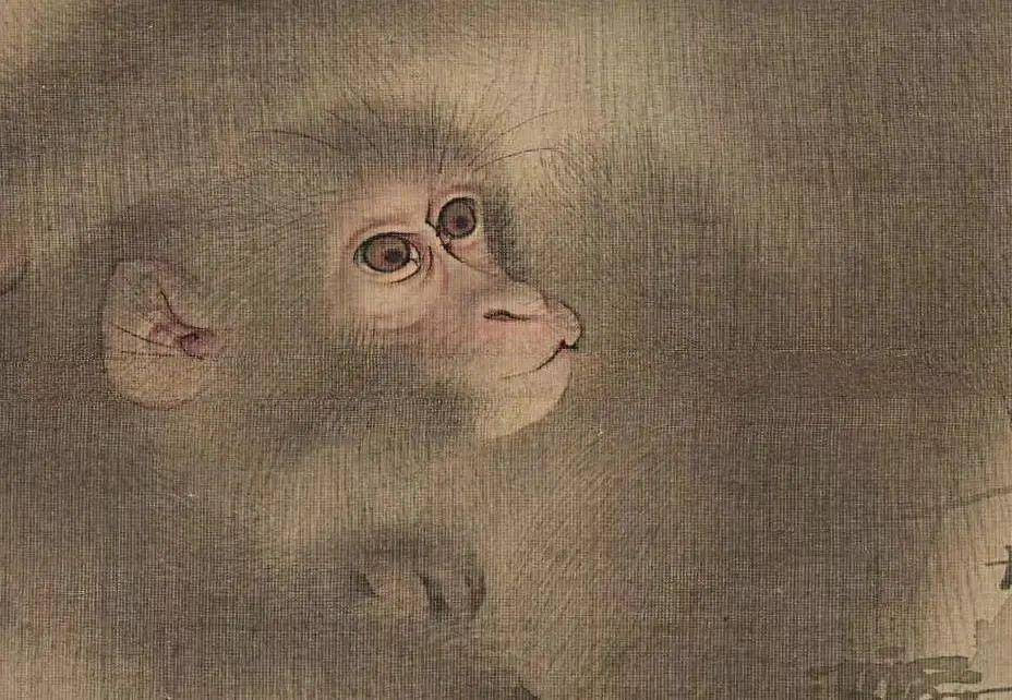 猿猴_作品_古代