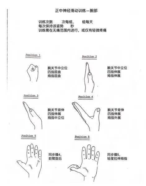 对掌功能示意图图片