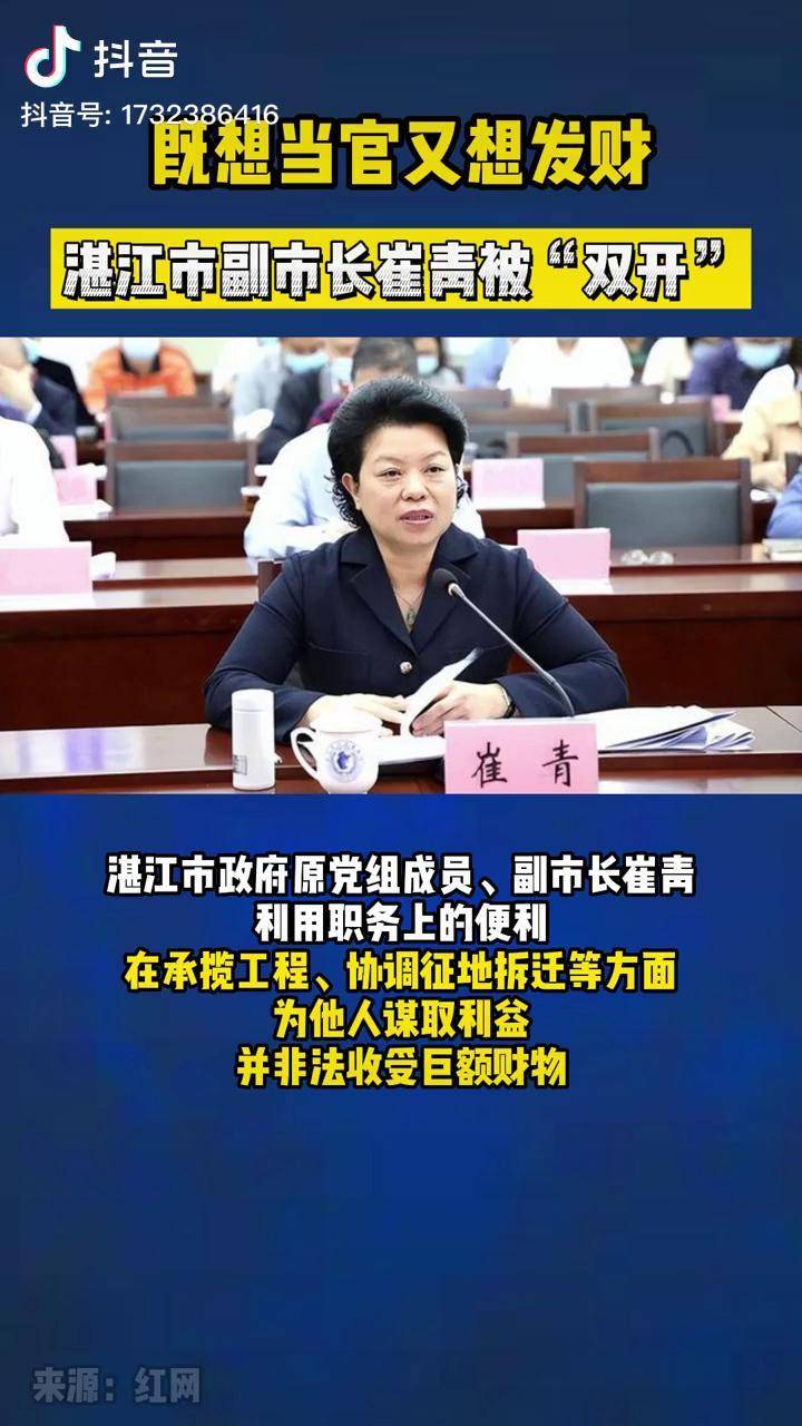 既想当官又想发财 湛江市副市长崔青被"双开"离谱 双开违纪违法