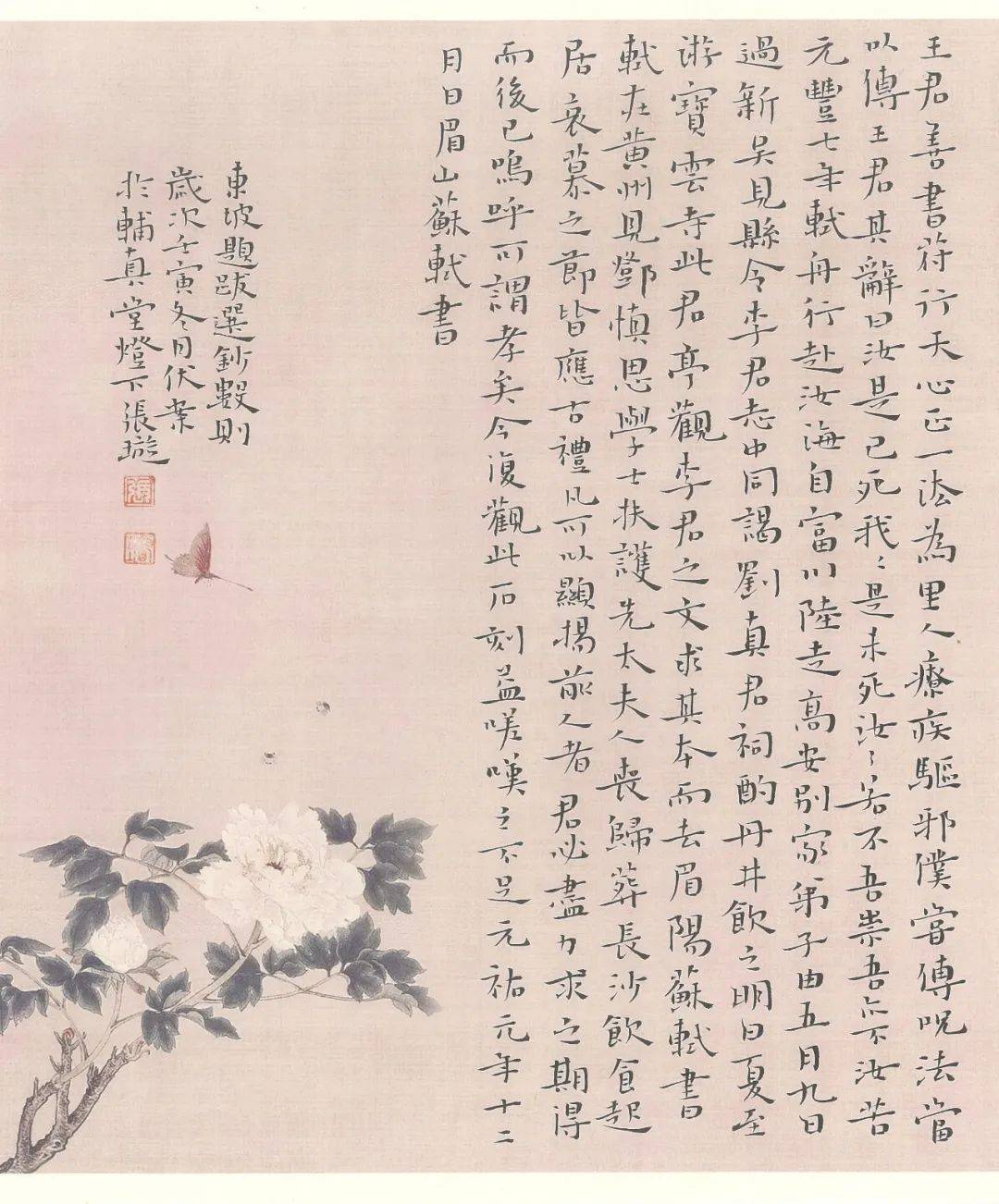 张璇的作品