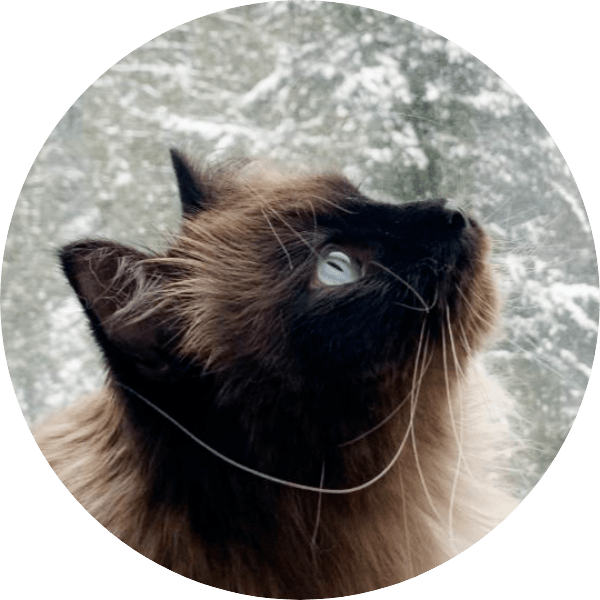 ƽ����Ů����쭡���20�����������罻���£��鱦���������ҷ� ...