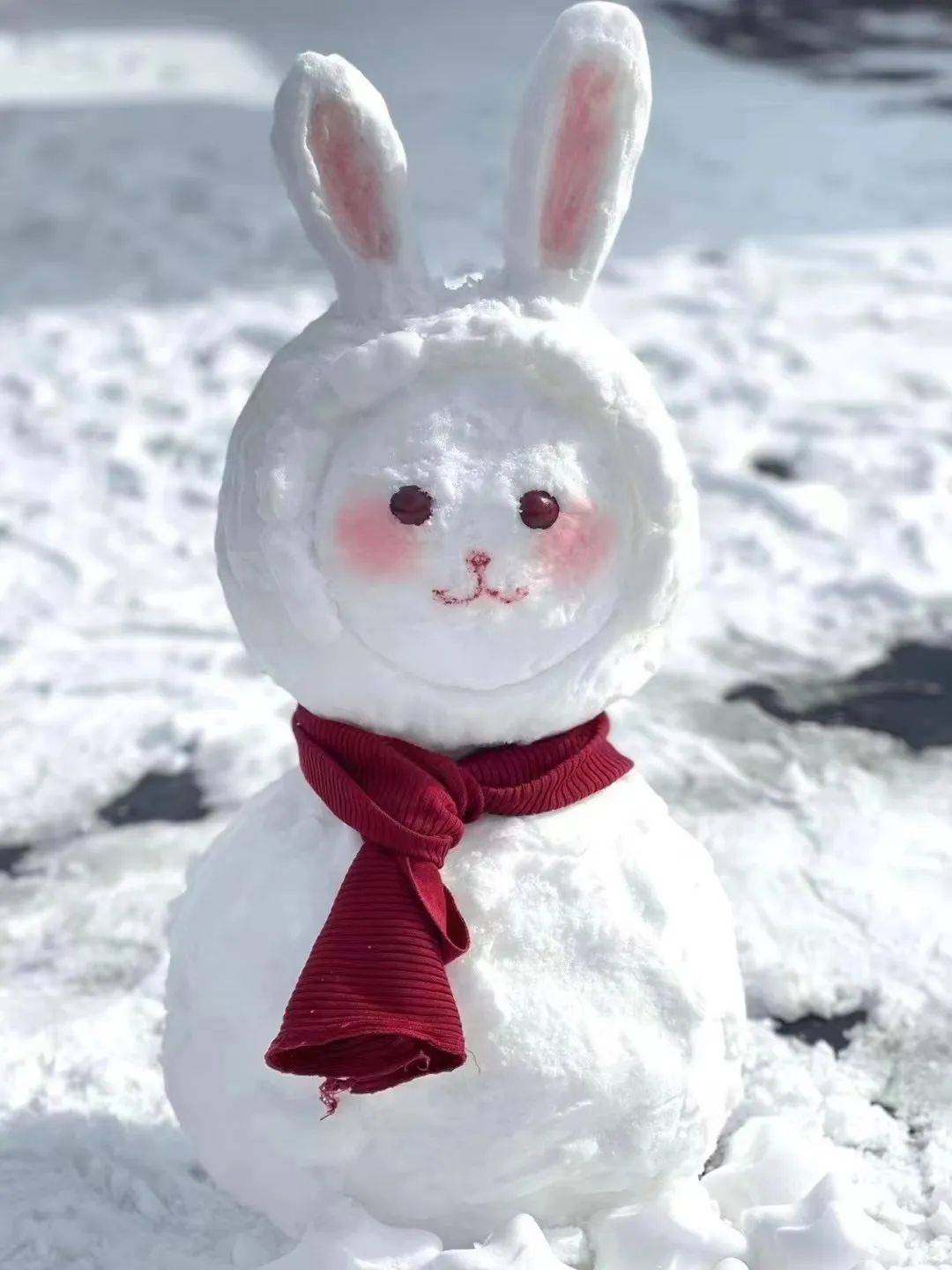 图话丨今天最开心的事,就是堆了一个可爱的雪人_大赛_朋友_雪天