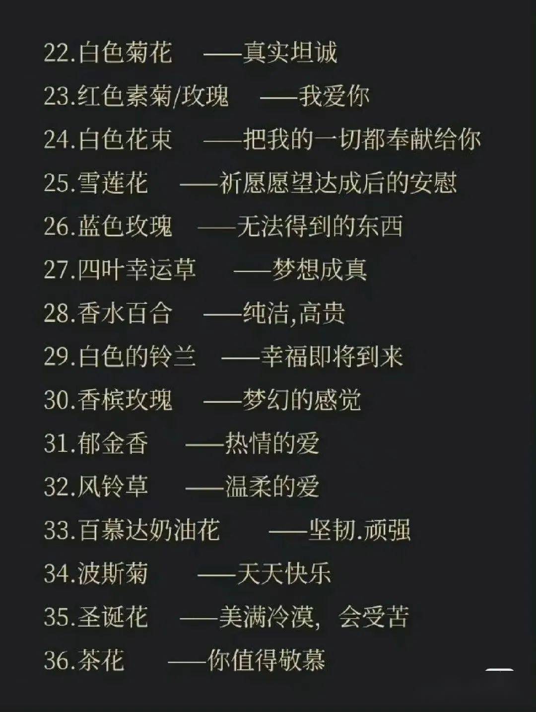 100种花语,你最喜欢什么花的花语~_古风_内容_楼兰