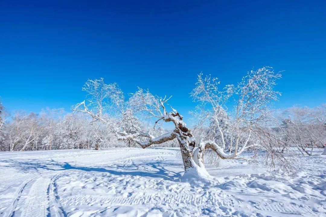 龙江人的冬季浪漫:穿林海,跨雪原,登龙江第一高峰——大秃顶子山_幸福