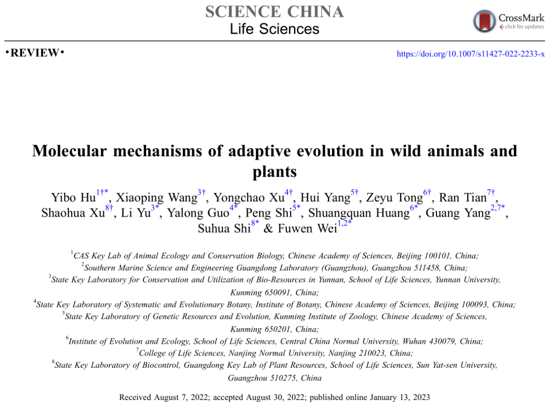【科研】国家重点实验室于黎研究员团队在Science China Life Sciences发表动植物适应性演化分子机制综述文章_趋同