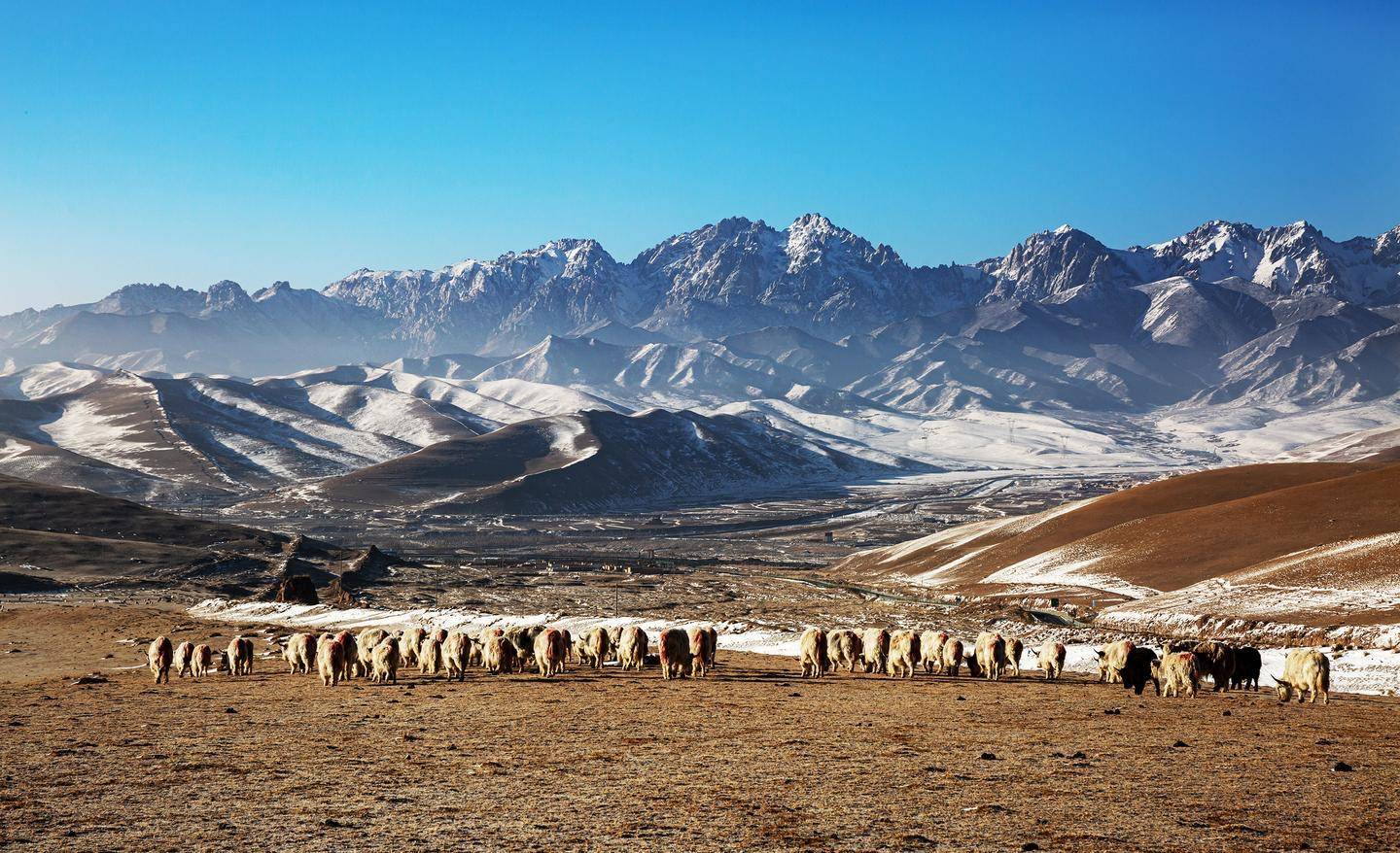 武威祁连山风景区图片